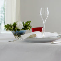 ナプキン プレーン